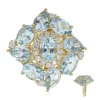 AAA-Brasilianischer Aquamarin-Goldring (CIRARI)