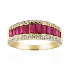 AAA-Mosambik-Rubin-Goldring (CIRARI)