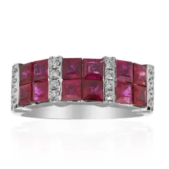 AAA-Mosambik-Rubin-Goldring (CIRARI)