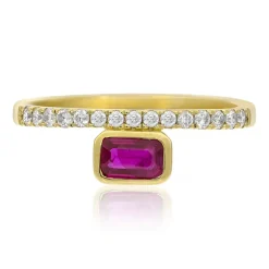 AAA-Mosambik-Rubin-Goldring (CIRARI)