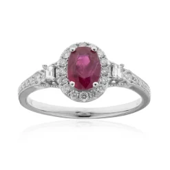 AAA-Mosambik-Rubin-Goldring (CIRARI)