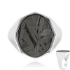 Aletai-Meteorit-Silberring