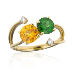 Edelstein-Goldring (CIRARI)