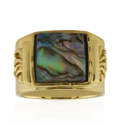 Edelstein-Silberring (Art of Nature)