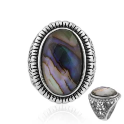 Edelstein-Silberring (Art of Nature)