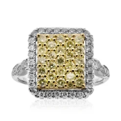 I1 (H) Brillant-Goldring (CIRARI)