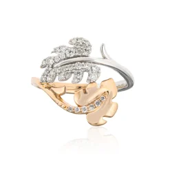 I1 (H) Brillant-Goldring (Smithsonian)