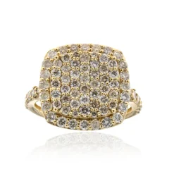 I1 (I) Brillant-Goldring (CIRARI)