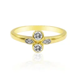 IF (D) Brillant-Goldring