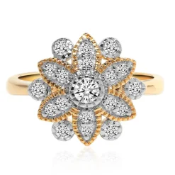 IF (D) Brillant-Goldring