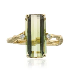 Kongo-Neon-Turmalin-Goldring (Smithsonian)