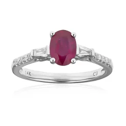 Mosambik-Rubin-Goldring (CIRARI)