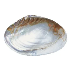 Perlmutt-Schale (Bali Barong)