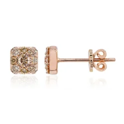 SI1 Argyle-Rose de France-Brillant-Goldohrringe