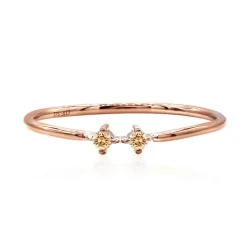 SI1 Argyle-Rose de France-Brillant-Goldring