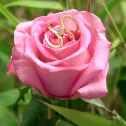 SI1 Argyle-Rose de France-Brillant-Silberring