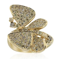 SI2 Fancy-Brillant-Goldring (CIRARI)