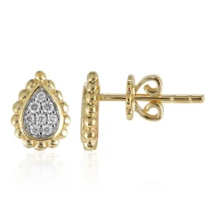 SI1 (G) Brillant-Goldohrringe