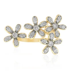 SI1 (G) Brillant-Goldring