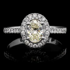 SI2 (H) Brillant-Goldring (CIRARI)