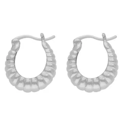 Silberohrringe