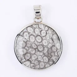 Versteinerte Koralle-Silberanhänger