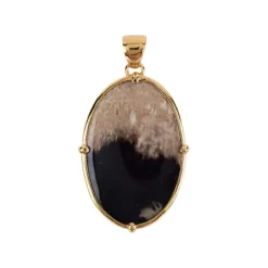 Versteinertes Holz-Silberanhänger