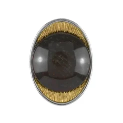 Versteinertes Holz-Silberanhänger