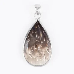 Versteinertes Holz-Silberanhänger