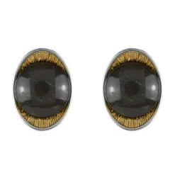 Versteinertes Holz-Silberohrringe