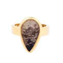 Versteinertes Palmenholz-Silberring