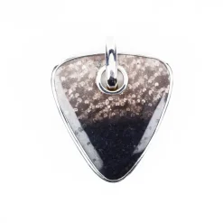 Versteinertes Palmenholz-Silberanhänger