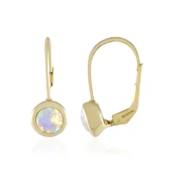 Welo-Opal-Silberohrringe