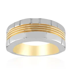 Zirkon-Silberring (Remy Rotenier)